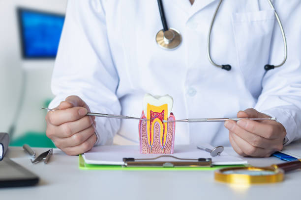 Best After-Hours Dental Care in Forney, TX